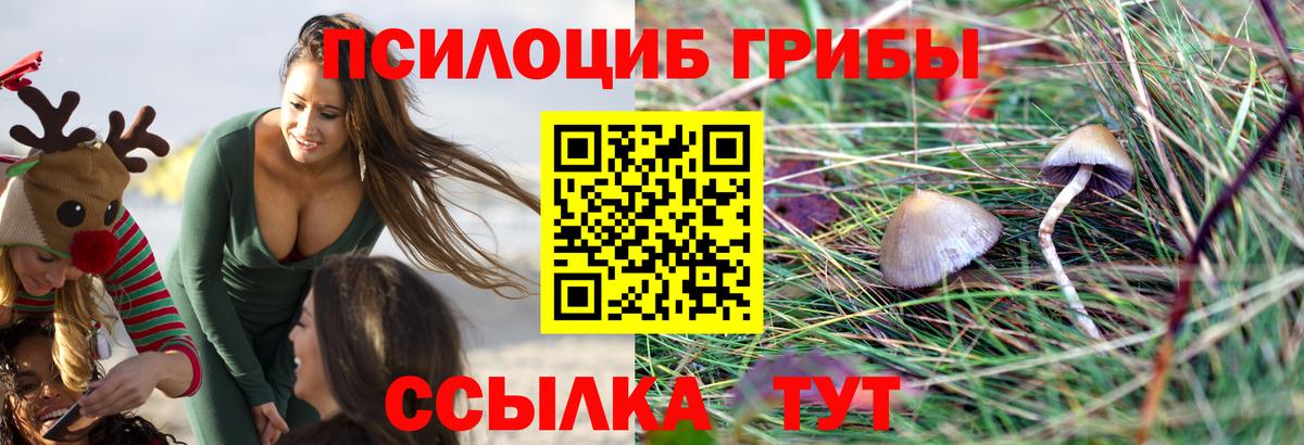 Псилоцибиновые грибы ЛСД  Псилоцибиновые грибы прущие грибы  Вход с VPN  Казань 